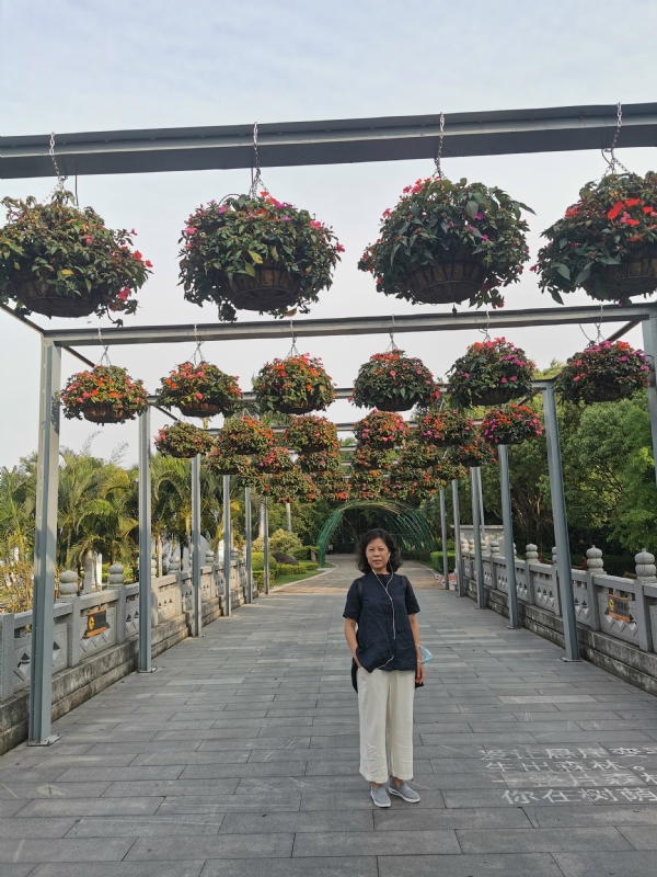 一叶知秋的第二张照片--永安婚介网