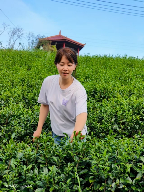 Q绮芳的第一张照片--永安婚介网